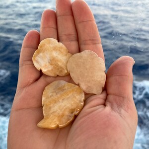 Peut inclure: Trois pierres en forme de feuille de couleur brun clair avec un motif marbré blanc.