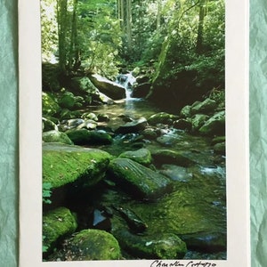 Parque Nacional das Grandes Montanhas Fumegantes / Riacho da Montanha / Rio / Cartão de Nota em Branco Cênico do Tennessee com Envelope
