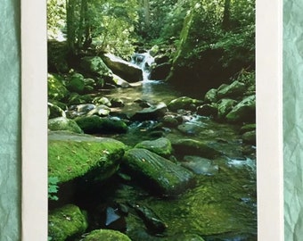 Smoky Mountains Note Card: Scenic Mountain Stream Photo Card