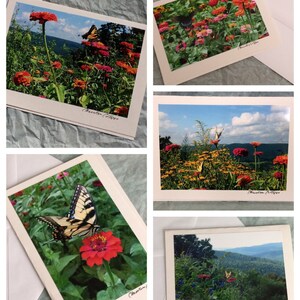 May include: Five greeting cards with a nature theme. Each card features a different photograph of butterflies and flowers in a garden setting. The cards are all white with a handwritten message in the bottom right corner that says "Charleston Cottage".