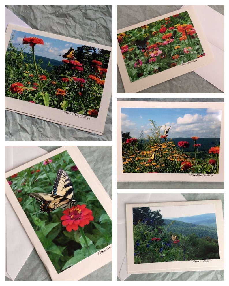 May include: Five greeting cards with a nature theme. Each card features a different photograph of butterflies and flowers in a garden setting. The cards are all white with a handwritten message in the bottom right corner that says "Charleston Cottage".