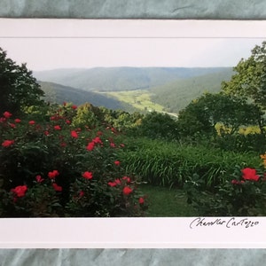 Jardim de verão com vista para a montanha / Beersheba Springs Tennessee / Rose Garden / Cartão em branco com envelope