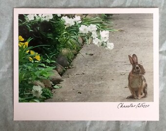 Bunny Rabbit Photo Card: Spring Garden Easter Note Card