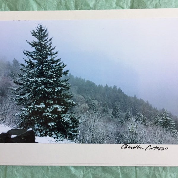 Great Smoky Mountains National Park / Snow in the Smokies / Snow Scene / Scenic Tennessee / Blank Notecard with Envelope / Christmas Card