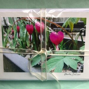 5er Set Herz Grußkarten / Grußkarten mit Herzen / Grußkarte zum Valentinstag / Beileid / Geburtstagskarte / Herzen in der Natur gesehen