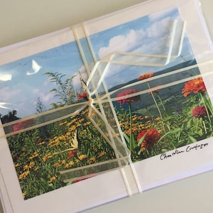 Conjunto de 5 cartões de nota de borboleta / Cartões de felicitações em branco com borboletas / Presente de Natal / Presente para ela / Cartão de condolências / Cartão de aniversário