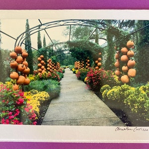 Moment des récoltes / Champ de citrouilles / Carte d'Halloween / Carte de Thanksgiving / Automne au Tennessee / Carte de correspondance vierge avec enveloppe