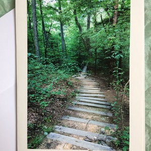 Wandelen in Savage Gulf Natural Area in the Summer / Stone Door / Beersheba Springs Tennessee / Blanco kaart met envelop