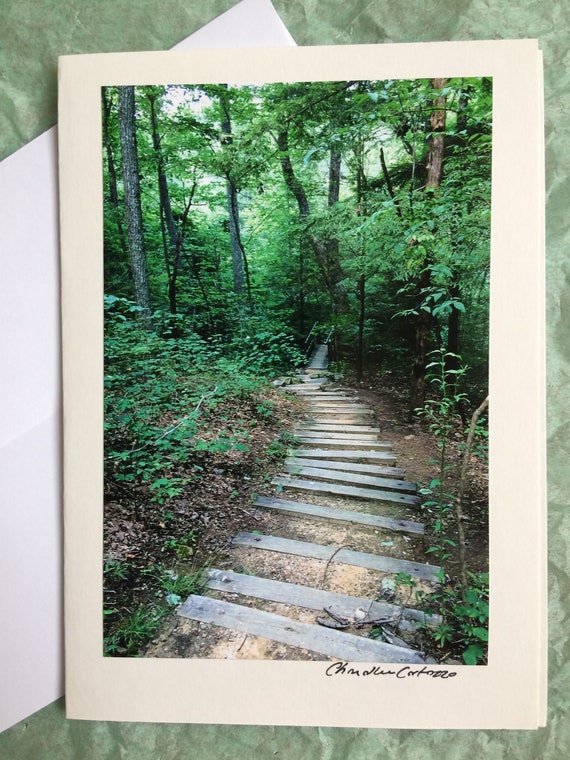 Hiking Savage Gulf Natural Area In The Summer Stone Door Etsy