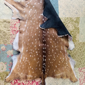 May include: A natural deer hide featuring a brown coat with white spots and a dark brown dorsal stripe. The hide is folded over at the top right corner to reveal a smooth, black suede underside, showcasing the contrast between the fur and leather.