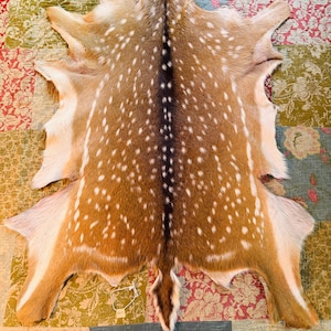 Maui Axis Deer Hide #A6M 44x36in - Natural Bark Tan
