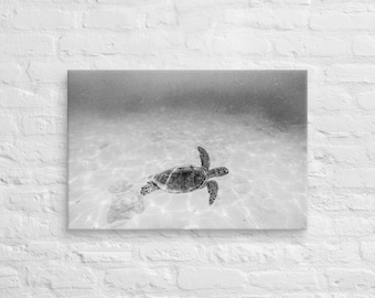 Hawaiian Sea Turtle Canvas Print: Black and White Underwater Photography