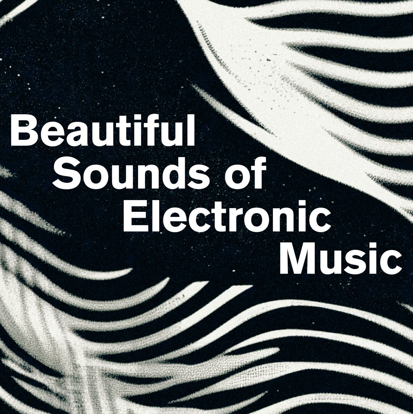 Beautiful Sounds of Electronic Music Poster / Minimal Monochrome