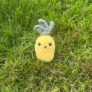 Cute Crochet Pineapple