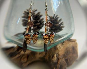 jardin aux papillons