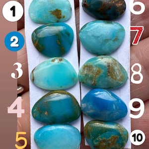 May include: Ten polished turquoise gemstones, each with unique patterns of blue and brown. The stones are oval-shaped and vary in shades of blue, from light to deep teal. The gemstones are displayed on white strips.