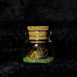 May include: A small clear glass jar with a cork stopper containing a brown insect specimen resting on a yellow stone and a bed of green artificial moss. The jar is cylindrical with a wide mouth and a thick base, showcasing the insect inside.