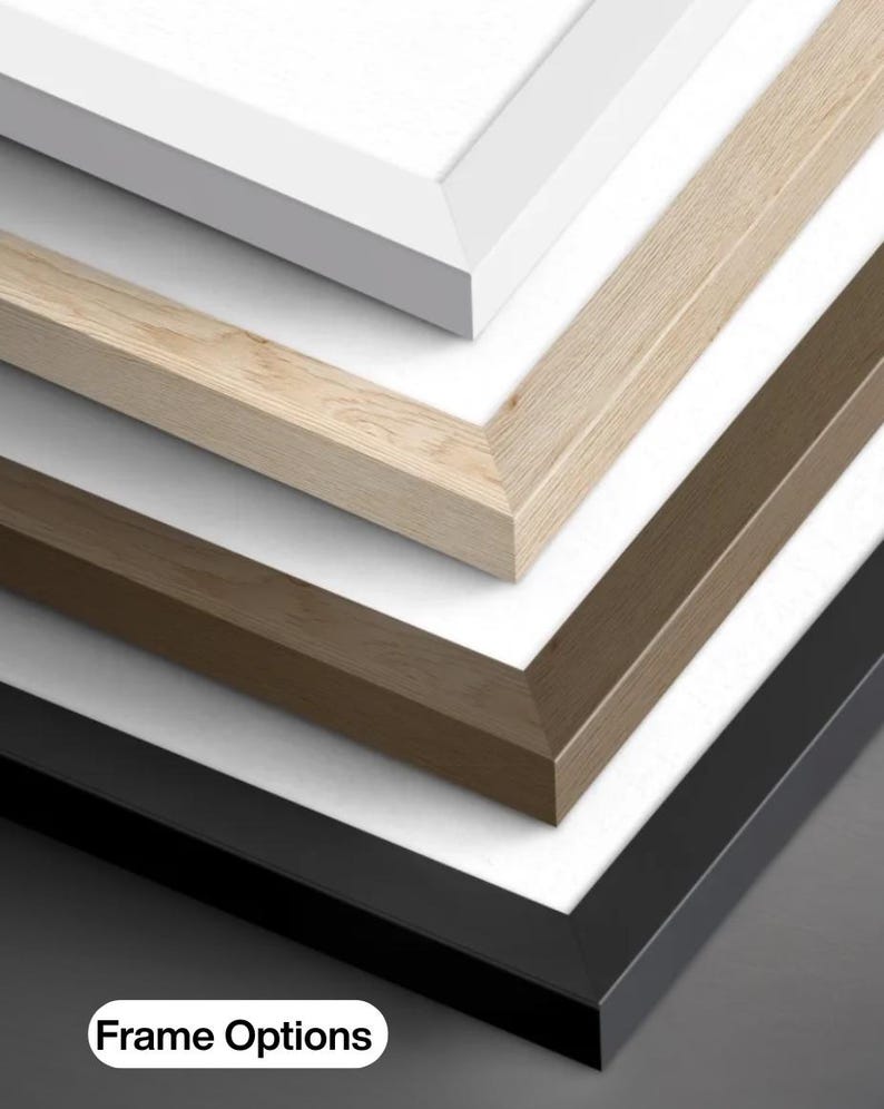 May include: A stack of four rectangular picture frames shown in a corner view. The frames are finished in white, light wood grain, medium brown wood grain, and solid black. Each frame contains a white mat board. The text Frame Options is visible.