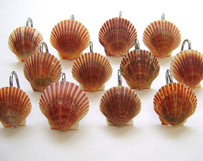 Sea Shell Shower Curtain Hooks Etsy