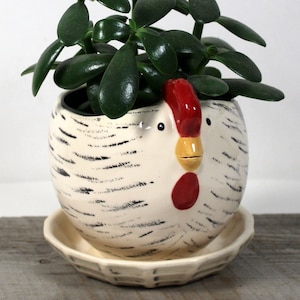 May include: A ceramic chicken-shaped plant pot with a green plant. The pot is white with black brushstrokes and a red comb and wattle. The plant has dark green, oval-shaped leaves. The pot sits on a matching saucer.