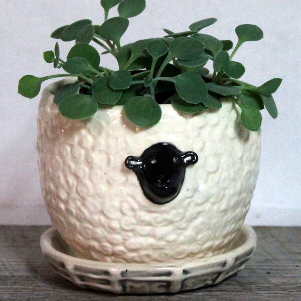 Small Sheep Planter with Saucer 3 1/2'' x 3'' Ceramic Pottery  Ready to ship