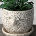 see more listings in the animal planter section