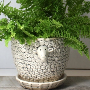 May include: A white ceramic planter shaped like a sheep with a face and curly details. A green fern plant is growing in the planter.