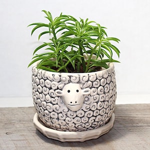 May include: A white ceramic planter shaped like a sheep with a cute face and curly details. The planter is filled with a green succulent plant.