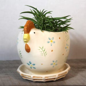 May include: A white ceramic chicken-shaped planter with a glossy finish, featuring a brown comb, yellow beak, and hand-painted blue flowers with green leaves. The planter sits on a matching white saucer and contains a green succulent plant.