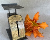 Deluxe Thrifty Postal Scale Up to 1 Lb. Shipping Packages