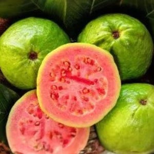 May include: Close-up of several green guavas, with one sliced open to reveal pink flesh and small seeds. The cut guava shows a vibrant pink interior with a yellow rind. The whole guavas have a smooth, green exterior.