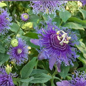 May include: A rustic wooden sign with the text "Welcome to our home" in white lettering. The sign features a distressed finish and a simple, inviting design, perfect for entryway decor.