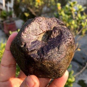 May include: A rough, dark-colored stone with a deep purple hue and a textured surface. The stone is held in a hand, with a blurred background of greenery. The stone appears to be a natural mineral or gemstone.