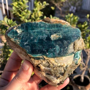 Può includere: Una gemma grezza con un sorprendente colore verde acqua e turchese. La pietra ha un aspetto a strati con un mix di trame, tra cui superfici lisce e ruvide. La base della pietra è un mix di beige e marrone.