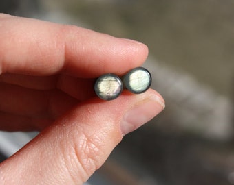 plugs