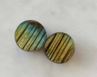 1/2" Striped Labradorite Plugs