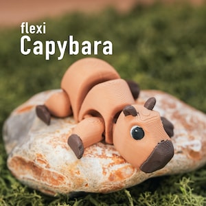 Flexi Capybara - 3D Printed Articulated Flexi Animal, Cute Gift for Animal Lovers, Desk Pet or Bag Charm, Fidget Keychain