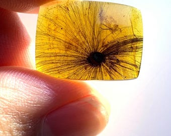 Puede incluir: Una pieza cuadrada de ámbar translúcido, de color amarillo-naranja cálido. Presenta una inclusión oscura central que se irradia como fibras. El ámbar se sostiene entre los dedos, mostrando la planta o insecto fosilizado en su interior. Una pieza única.
