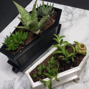 Coffin Plant Pot - Etsy
