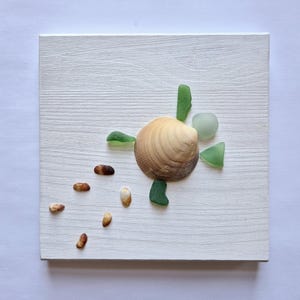 Könnte beinhalten: Handgefertigte Kunst auf einem weißen Holzquadrat. Es zeigt eine Muschel, grünes Meeresglas und kleine Kieselsteine. Die Anordnung bildet ein Design, wobei die Holzbasis eine strukturierte, lackierte Oberfläche hat. Küsten-Thema.
