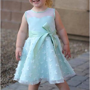 May include: A young girl wearing a light blue dress with a satin sash and butterfly embellishments. The dress has a sheer bodice and a full skirt. The girl is smiling and looking at the camera.