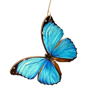 Blue Butterfly Ornament #9874