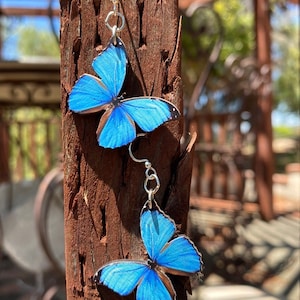 Common Blue Butterfly Pin