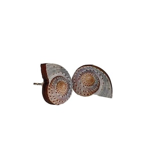 Conch Shell Studs -  Laser Cut Earrings from Reforested Wood