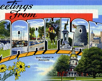 Maryland State Jigsaw Puzzle -144PCS - #S620