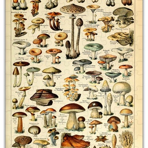 Mushroom Species Chart Puzzle 6697 Wooden Jigsaw Puzzle 160pcs image 1