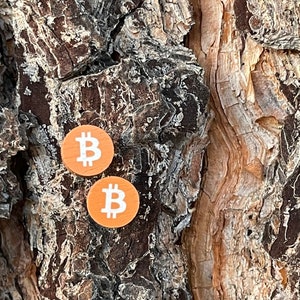 Bitcoin Stud Earrings - Laser Cut Wood - Super light weight Earrings