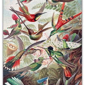 Haeckels Hummingbirds Puzzle 6730 Wooden Jigsaw Puzzle 144pcs 160pcs image 1