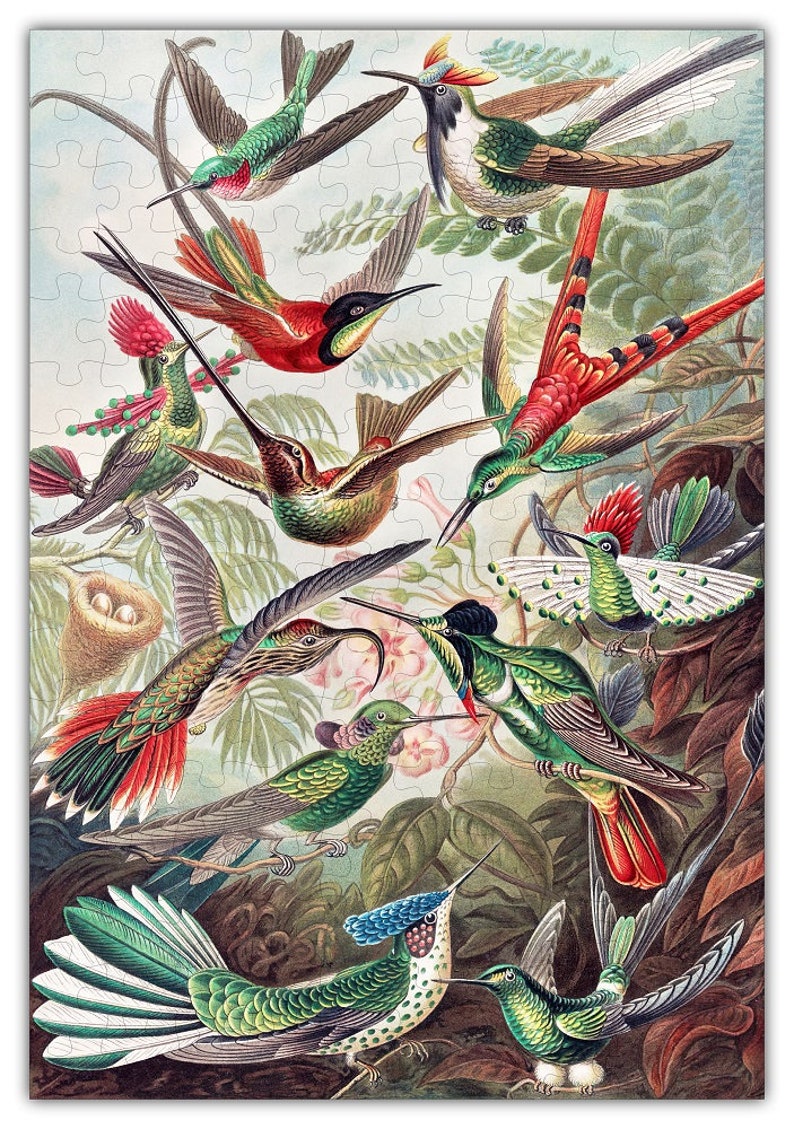 Haeckels Hummingbirds Puzzle 6730 Wooden Jigsaw Puzzle 144pcs 160pcs image 1