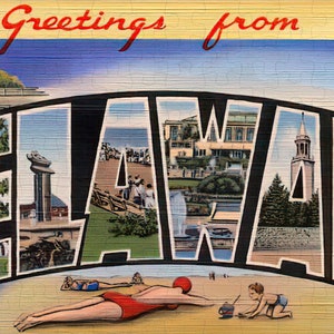Delaware State Jigsaw Puzzle -144PCS - #S608